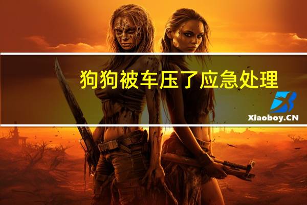 狗狗被车压了应急处理