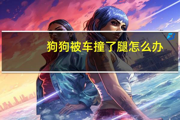 狗狗被车撞了腿怎么办