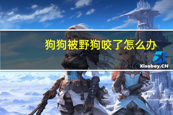 狗狗被野狗咬了怎么办