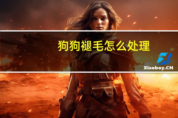 狗狗褪毛怎么处理