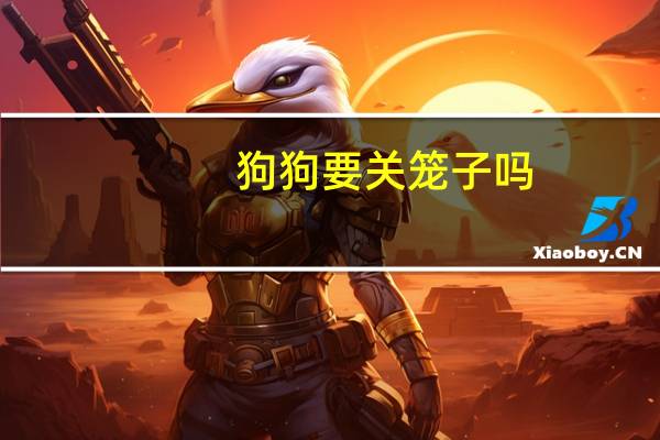 狗狗要关笼子吗