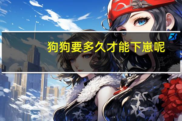 狗狗要多久才能下崽呢