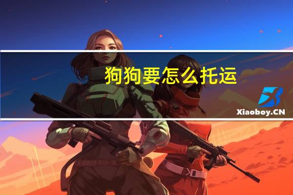 狗狗要怎么托运