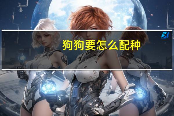 狗狗要怎么配种