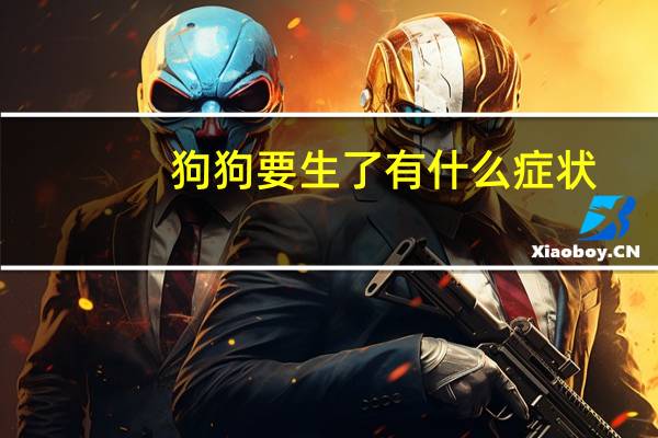 狗狗要生了有什么症状