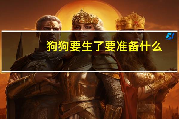 狗狗要生了要准备什么