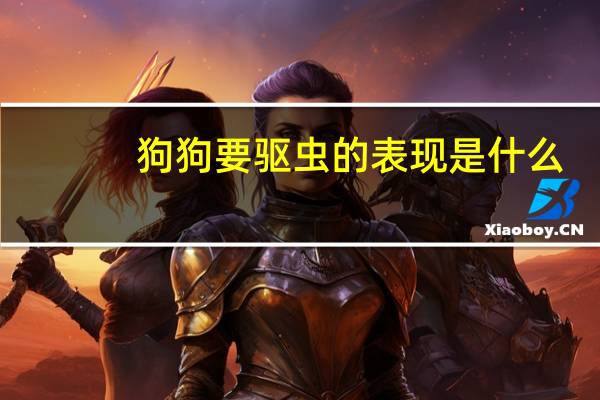 狗狗要驱虫的表现是什么