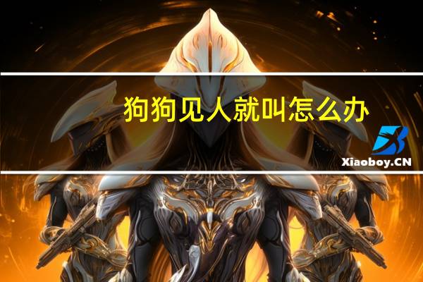 狗狗见人就叫怎么办