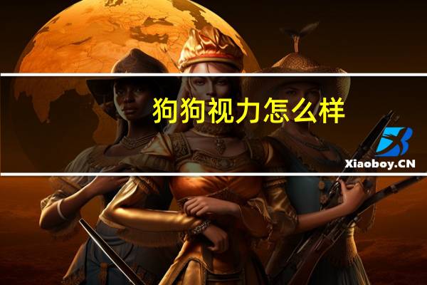 狗狗视力怎么样