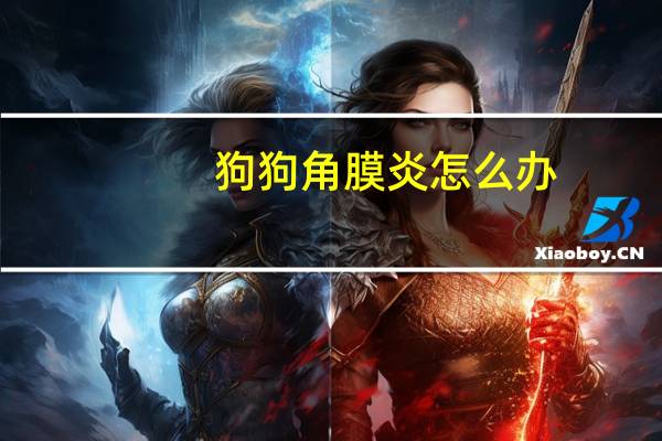 狗狗角膜炎怎么办
