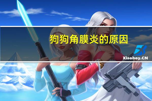 狗狗角膜炎的原因