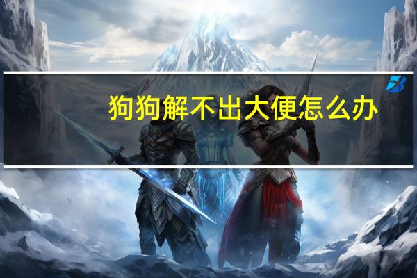 狗狗解不出大便怎么办