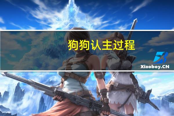 狗狗认主过程