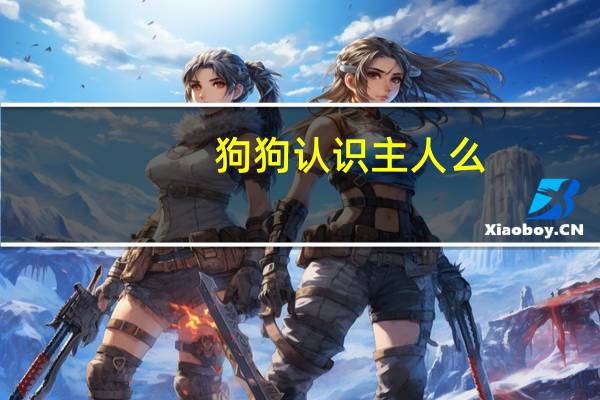 狗狗认识主人么