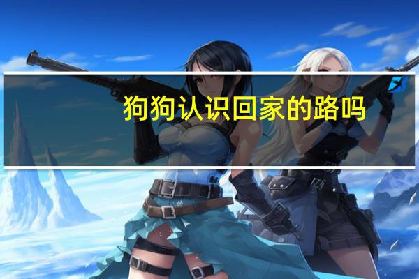 狗狗认识回家的路吗