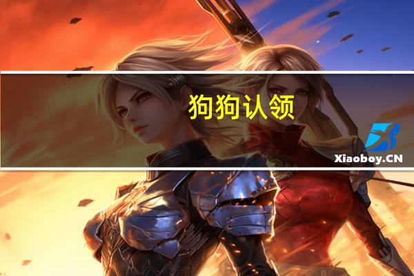狗狗认领