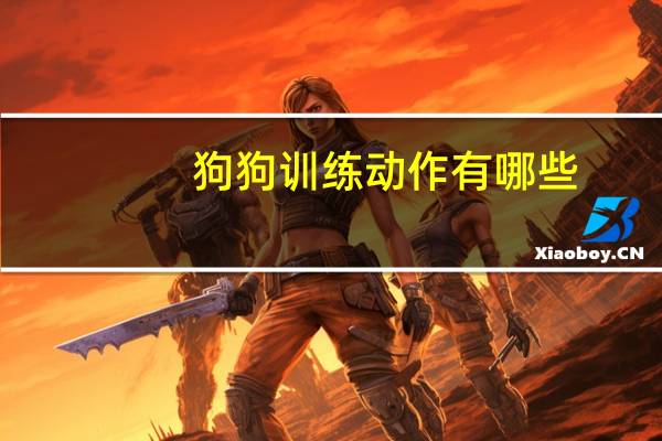 狗狗训练动作有哪些