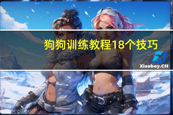 狗狗训练教程18个技巧