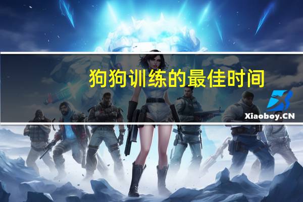 狗狗训练的最佳时间