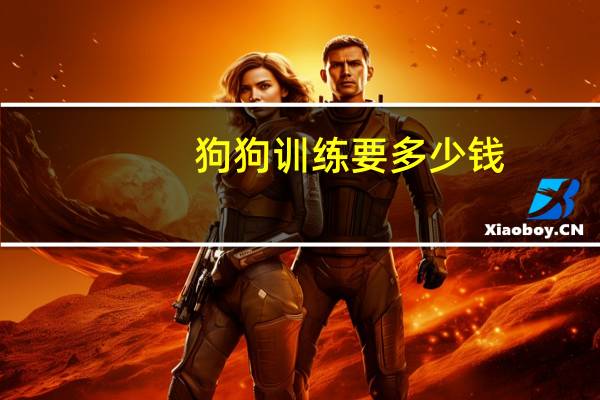 狗狗训练要多少钱