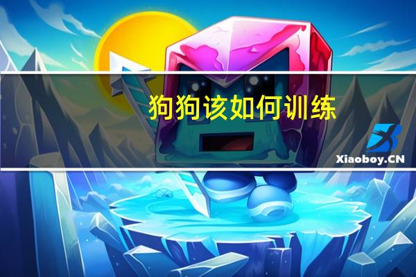 狗狗该如何训练