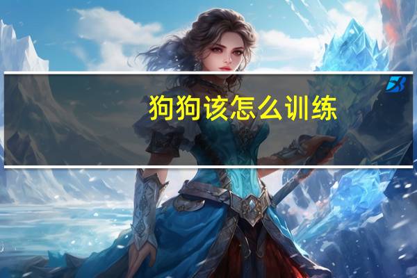 狗狗该怎么训练