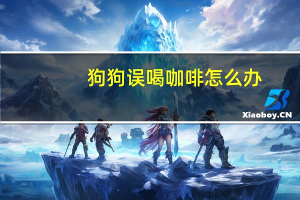 狗狗误喝咖啡怎么办