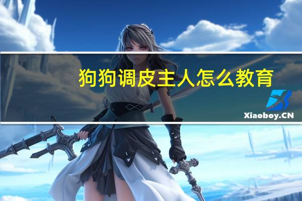 狗狗调皮主人怎么教育