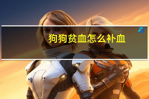 狗狗贫血怎么补血