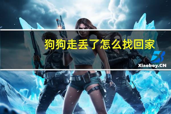 狗狗走丢了怎么找回家
