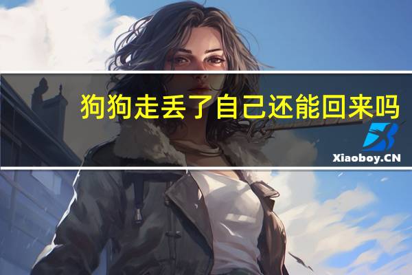狗狗走丢了自己还能回来吗
