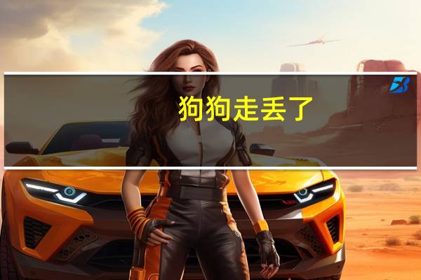 狗狗走丢了