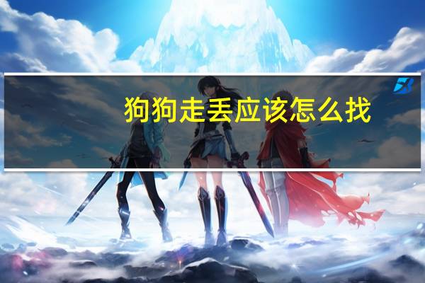 狗狗走丢应该怎么找