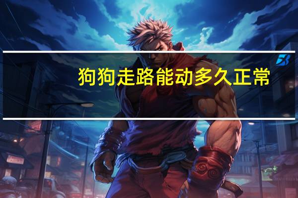 狗狗走路能动多久正常