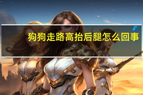 狗狗走路高抬后腿怎么回事
