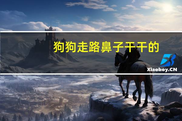 狗狗走路鼻子干干的