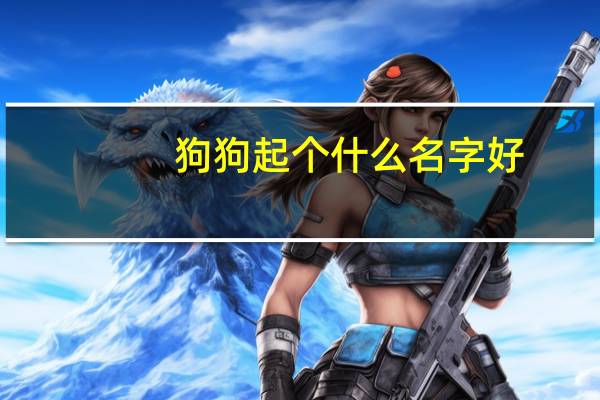 狗狗起个什么名字好