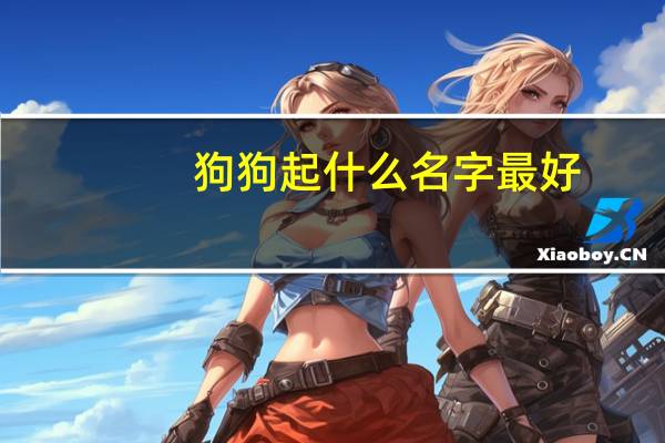 狗狗起什么名字最好