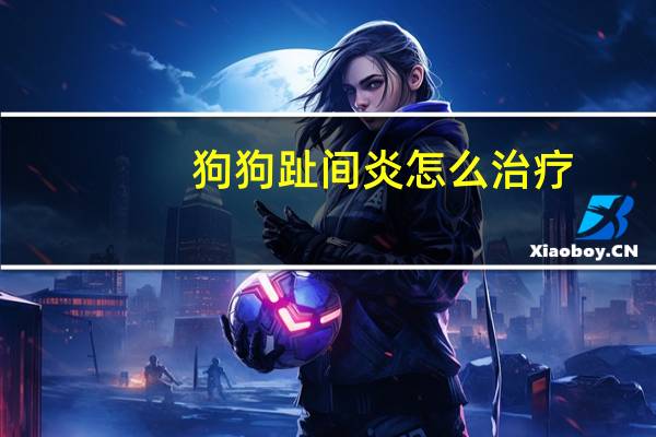 狗狗趾间炎怎么治疗