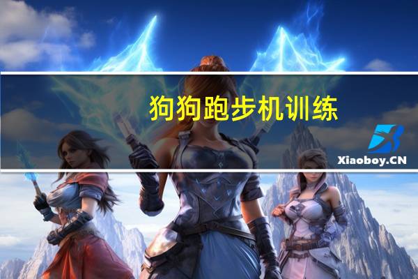 狗狗跑步机训练