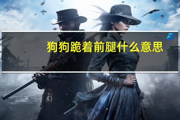 狗狗跪着前腿什么意思