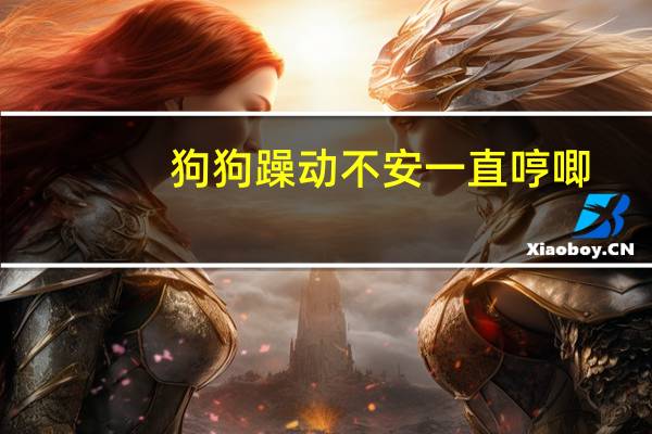 狗狗躁动不安一直哼唧