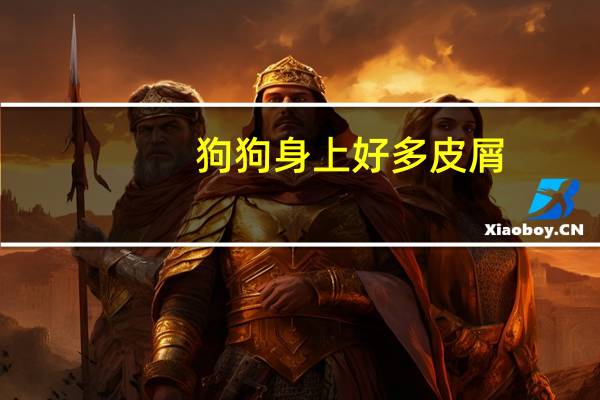 狗狗身上好多皮屑