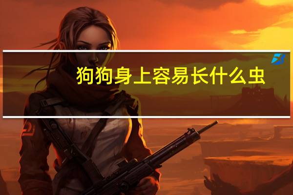 狗狗身上容易长什么虫