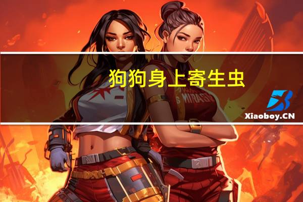 狗狗身上寄生虫
