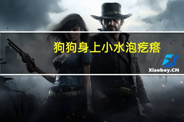 狗狗身上小水泡疙瘩