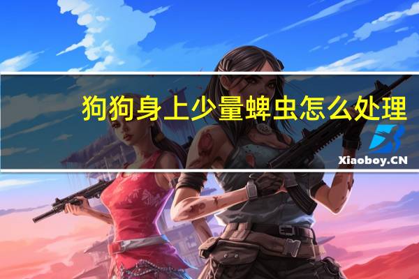 狗狗身上少量蜱虫怎么处理