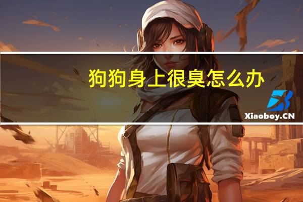狗狗身上很臭怎么办