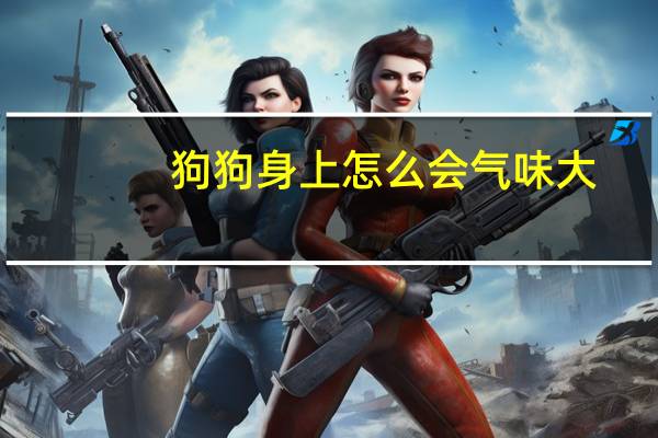 狗狗身上怎么会气味大