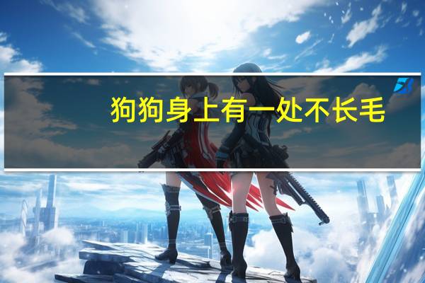 狗狗身上有一处不长毛